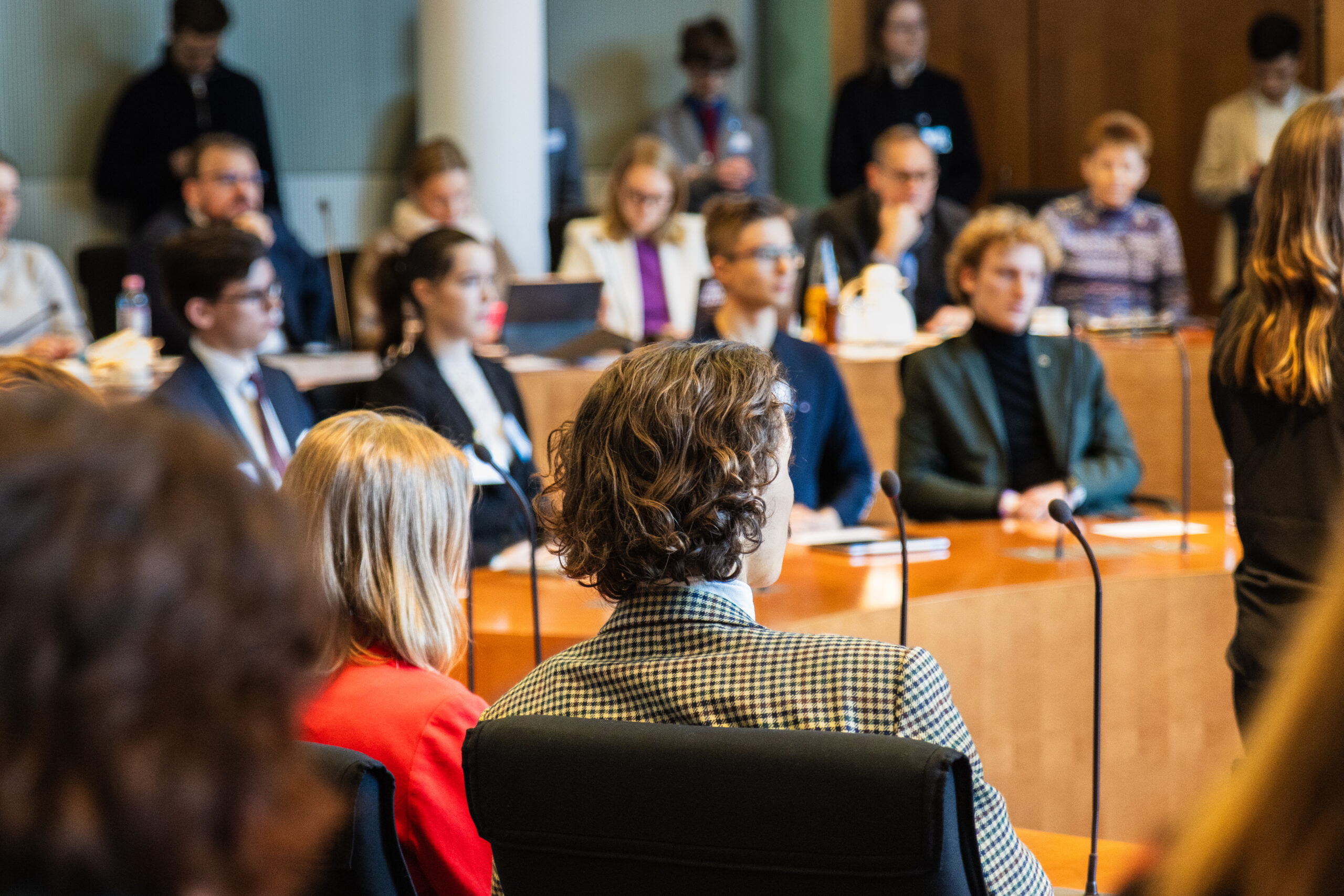 Kommission im Bundestag